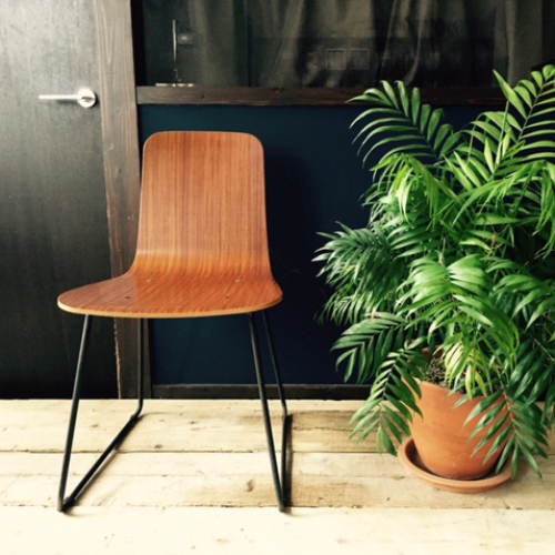 大学・専門学生カット