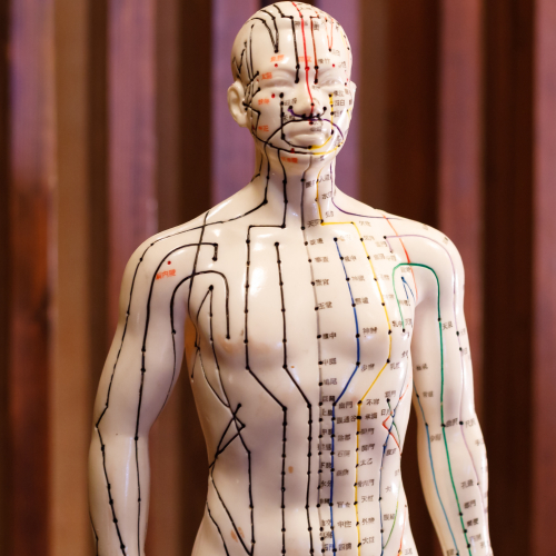 【背の健康】背面兪穴と呼吸筋リリース25分