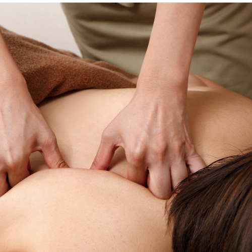 【WM会員専用】プレミアム漢方養生75分