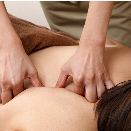 【WM会員専用】プレミアム漢方養生75分